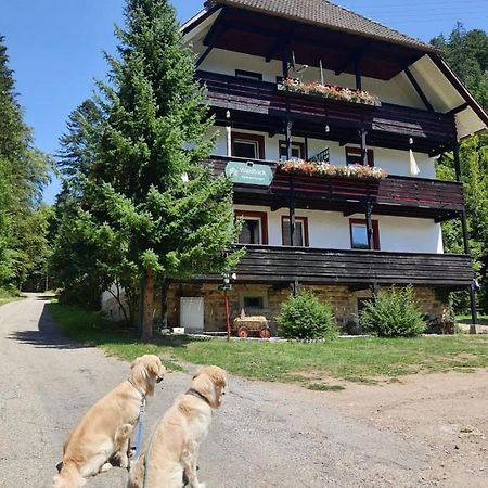 Waldblick Ferienwohnungen Bonndorf im Schwarzwald Buitenkant foto